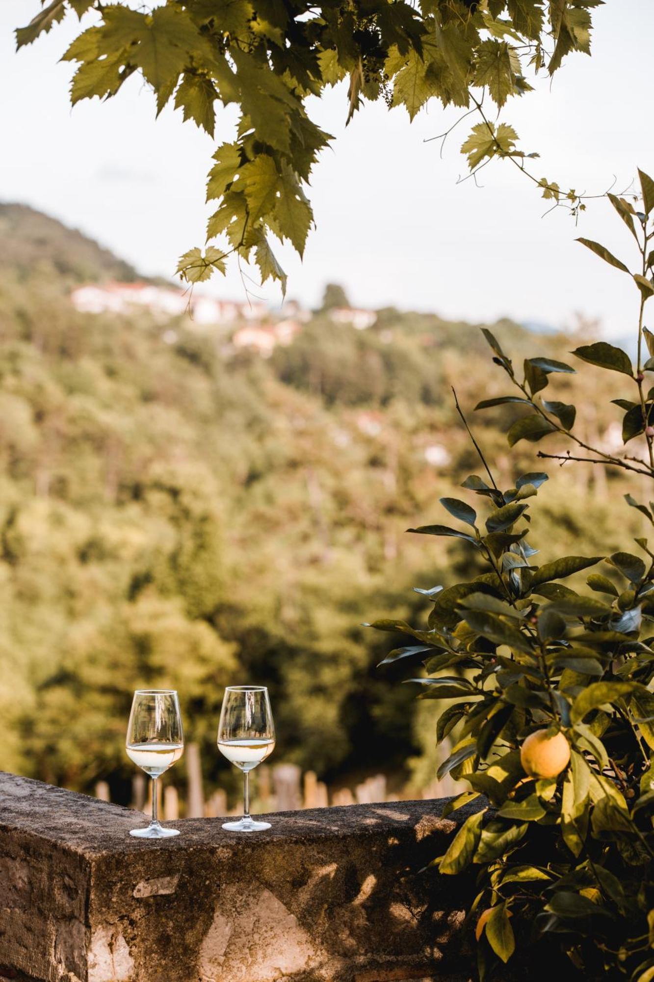 Апартаменты Vina Kobal, Kobal Family Estate Штаньел Экстерьер фото