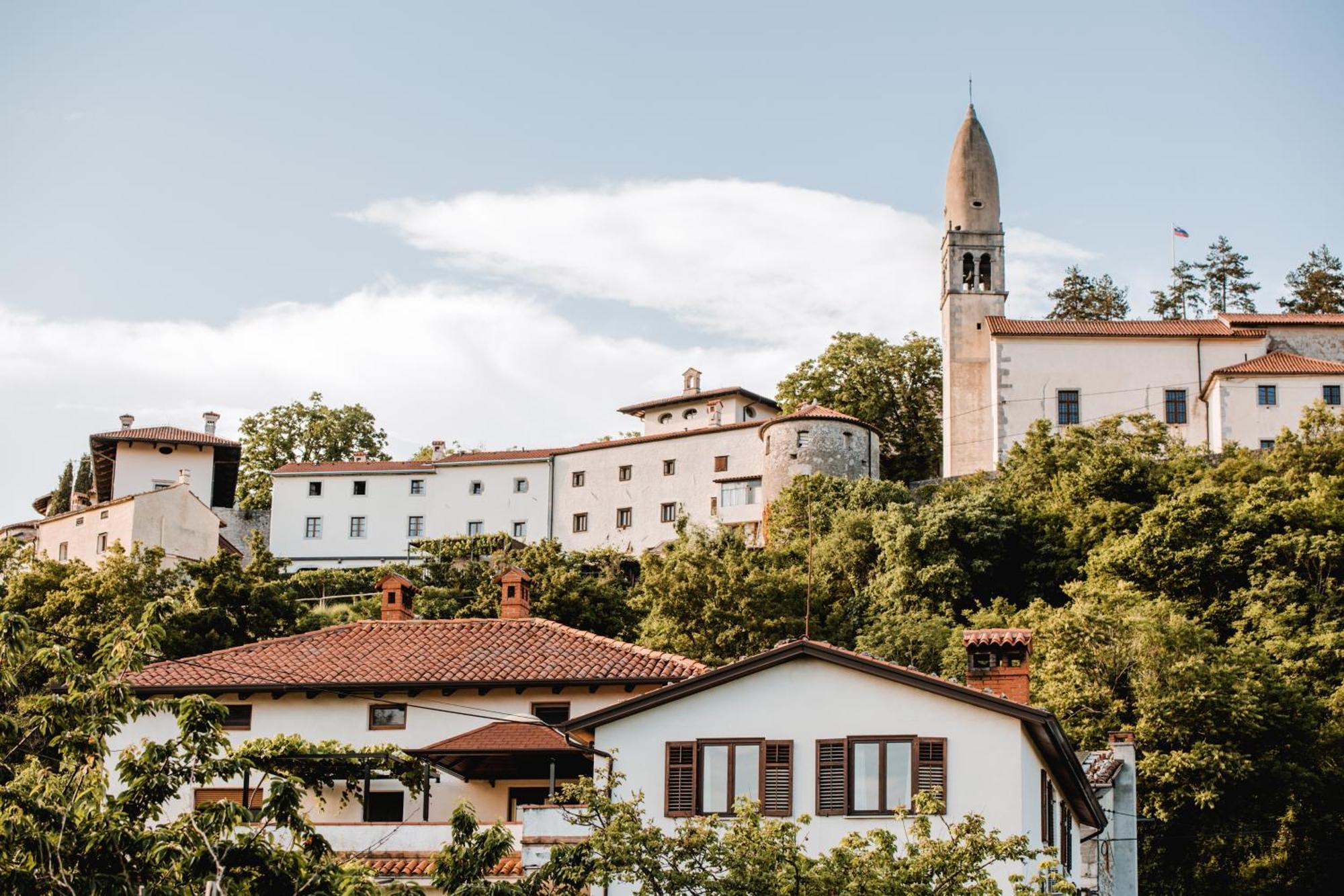Апартаменты Vina Kobal, Kobal Family Estate Штаньел Экстерьер фото